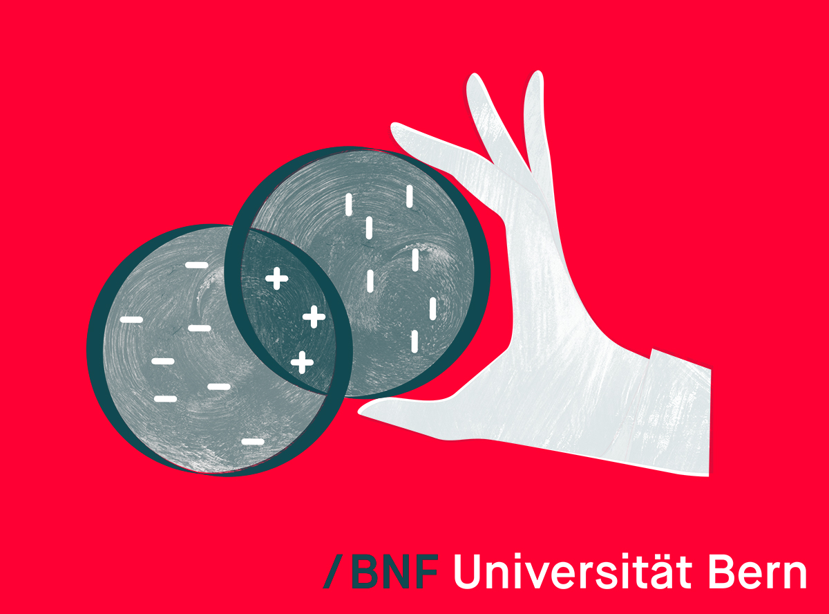 Collaboration fructueuse avec le programme BNF